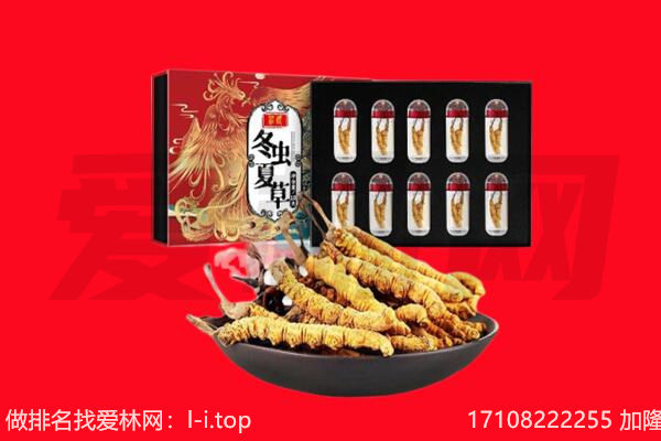 大同广灵县回收虫草.jpg